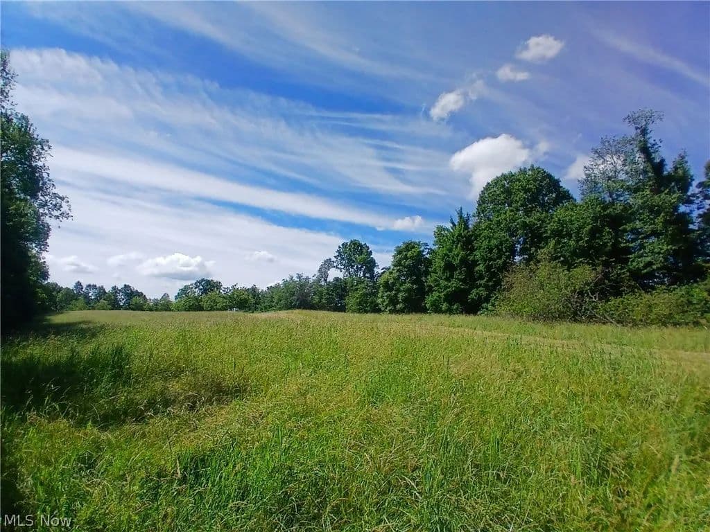 236.94 Acres of Land for Sale in Bergholz, OH - Bergholz, Ohio, 43908