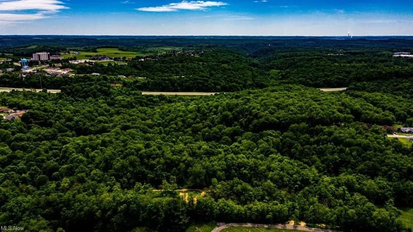Land -Agricultural (Not Zoned) in Weirton