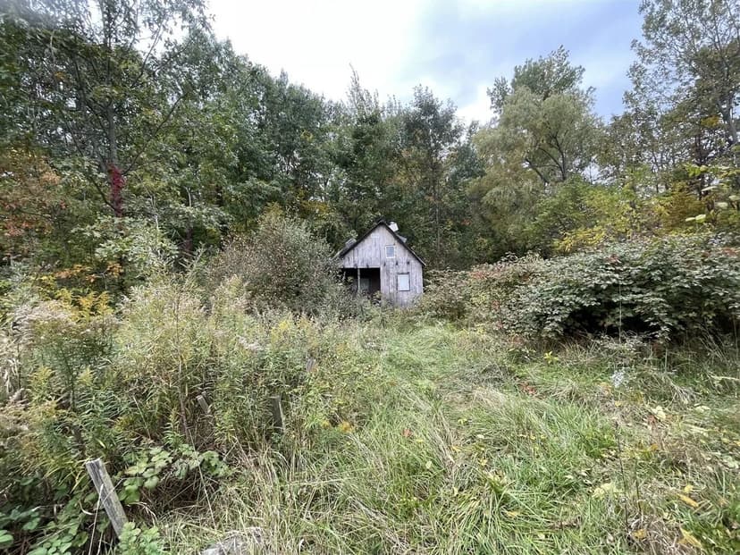 Property from 54392 County Road 681 - KW