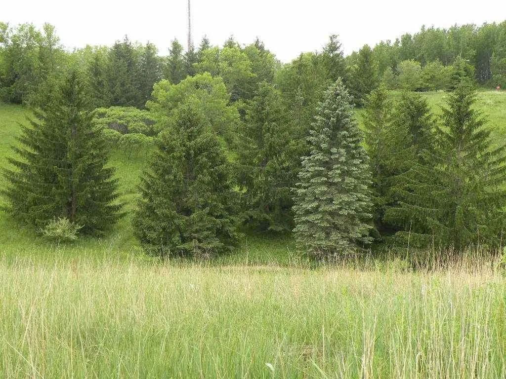 Lots & Land-Other in Ripon - Ripon, Wisconsin, 54971