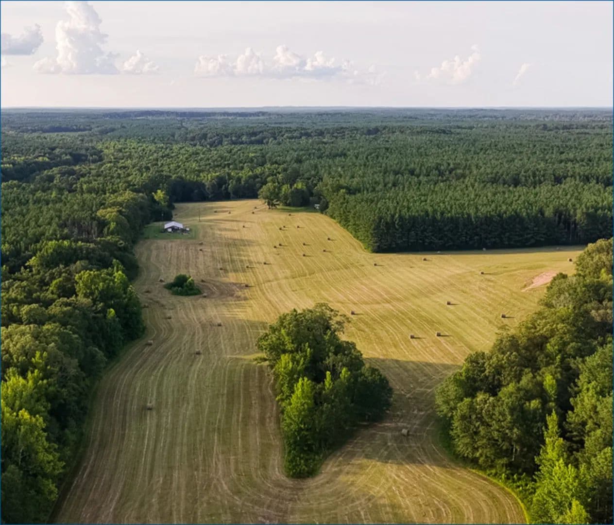 205 Acres in Madison County in Camden, MS - Camden, Mississippi, 39045