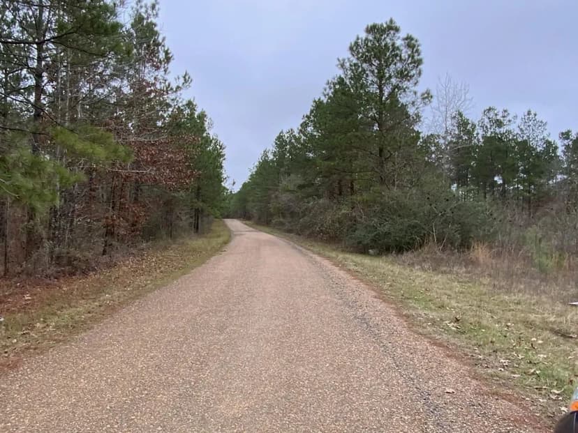 Posey Webb Camp Road - Tract A, Catahoula Parish, 59.96 Acres +/-