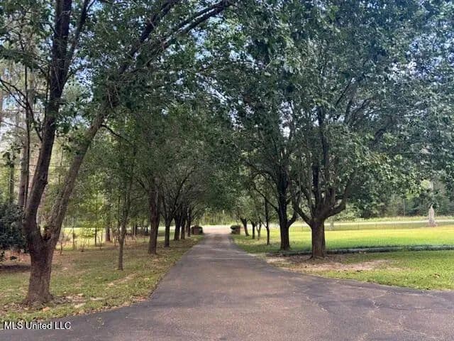 1.79 acres near Magnolia, Mississippi in Magnolia, Mississippi - photo 4