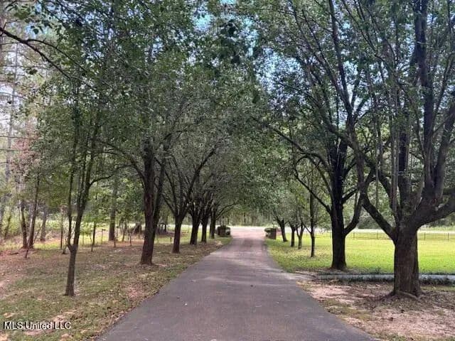 1.79 acres near Magnolia, Mississippi in Magnolia, Mississippi - photo 8