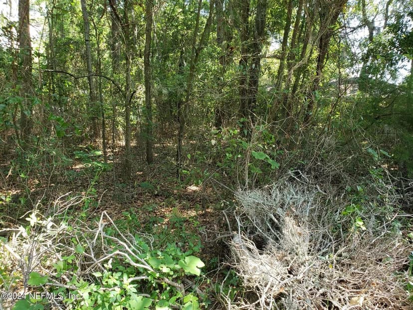 Lots & Land-Other in Jacksonville