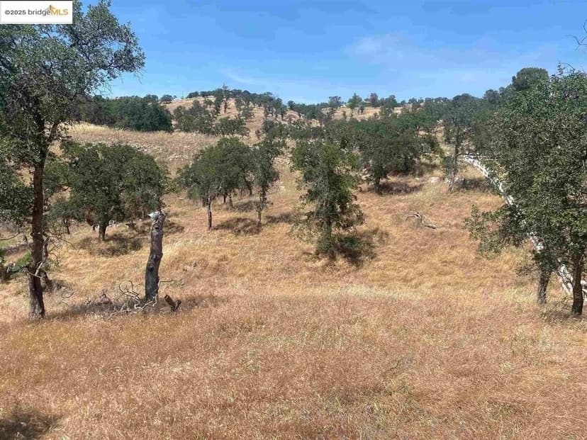 Lots & Land-Other in La Grange