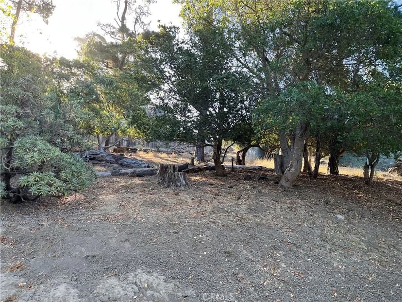 Vacant Land in Cambria