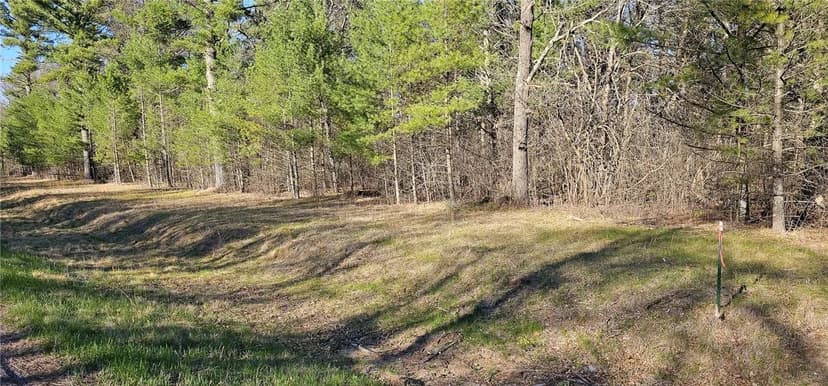 Vacant Land in Black River Falls