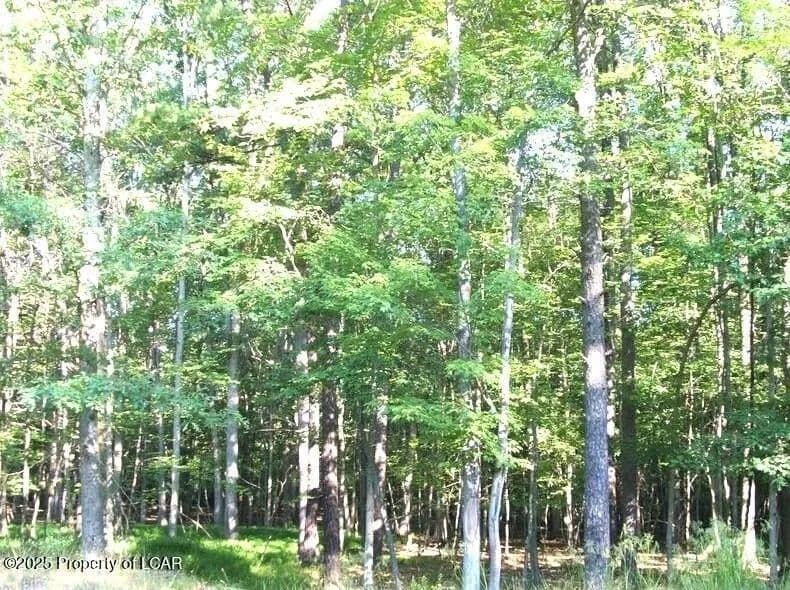 Lots & Land-Other in Hazleton