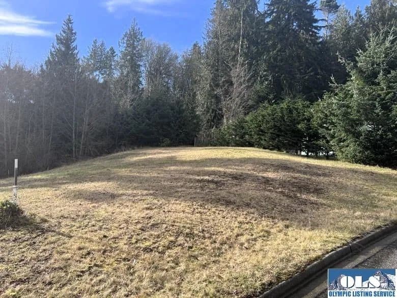 Vacant Land in Port Angeles