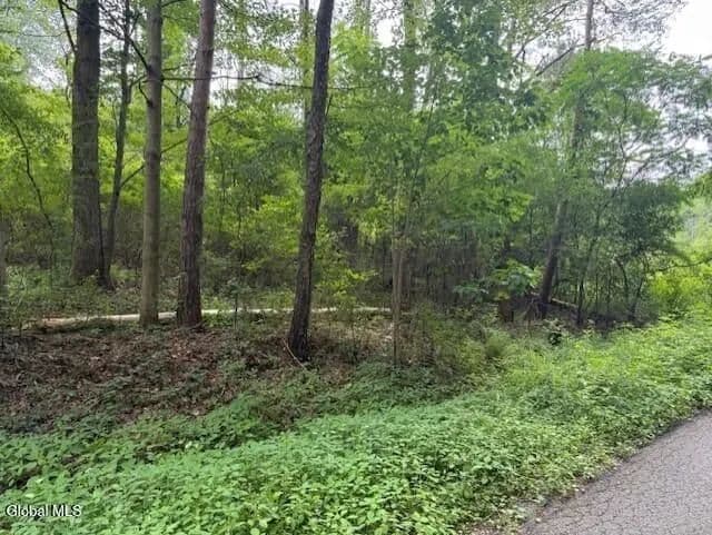 Land -Single Family Acreage in Princetown