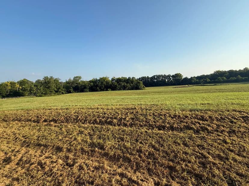 Vacant Land in Georgetown
