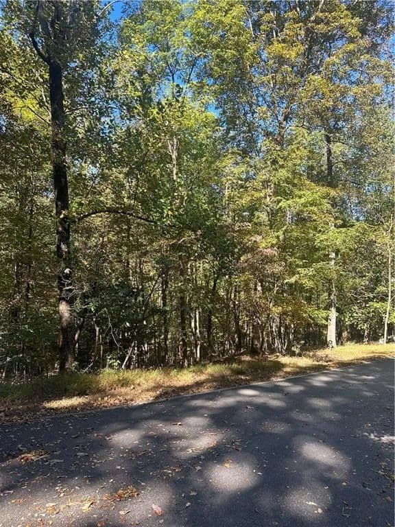 Land -Single Family Acreage in Jasper