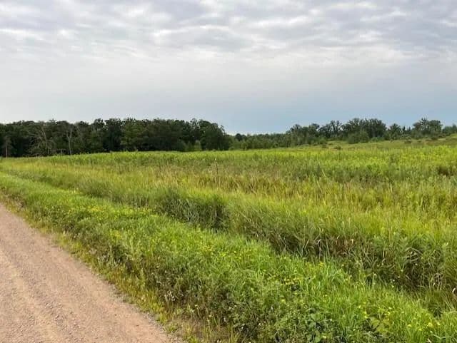 Vacant Land in Whited Twp