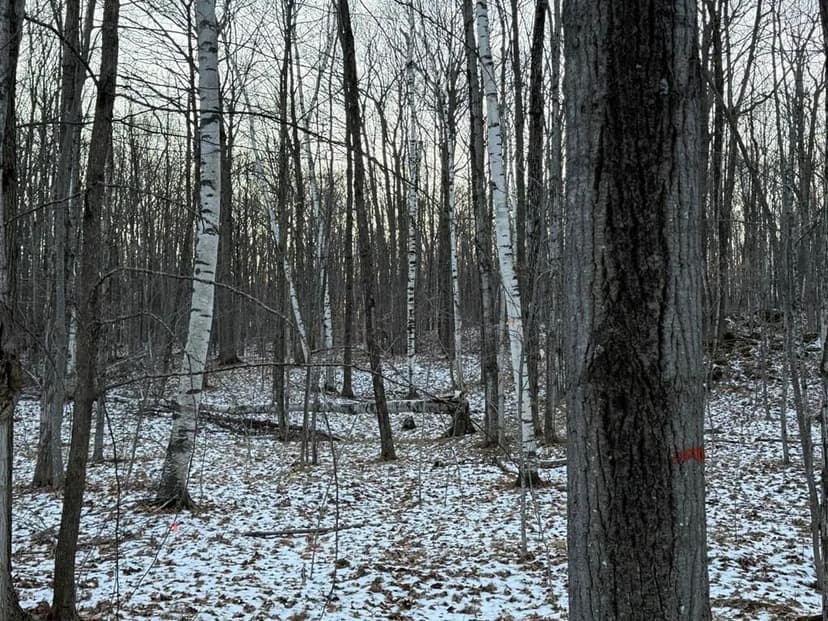 Vacant Land (10+ Acres) in Brussels