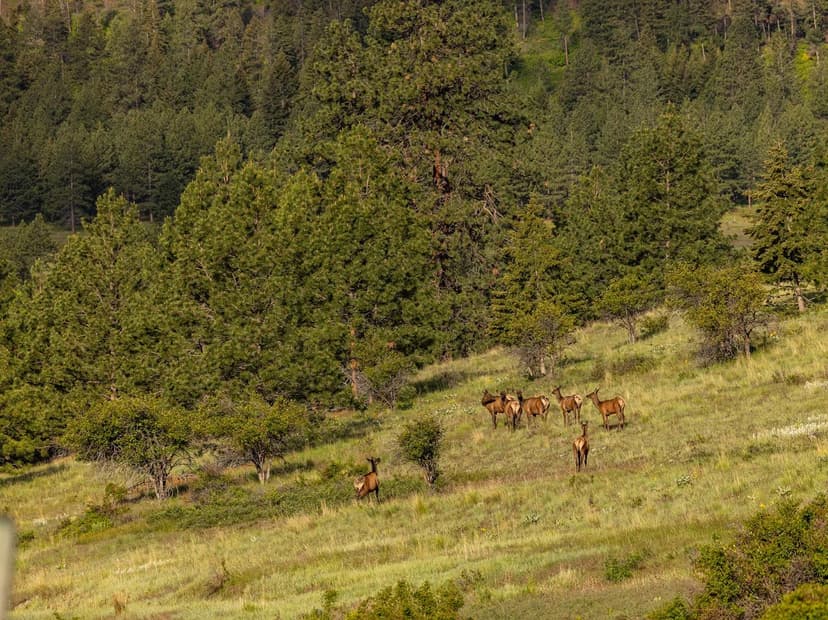 Summit at Lolo Ranch