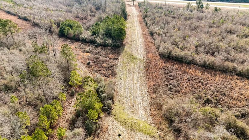 Build, Hunt & Escape – Affordable Rural Retreat