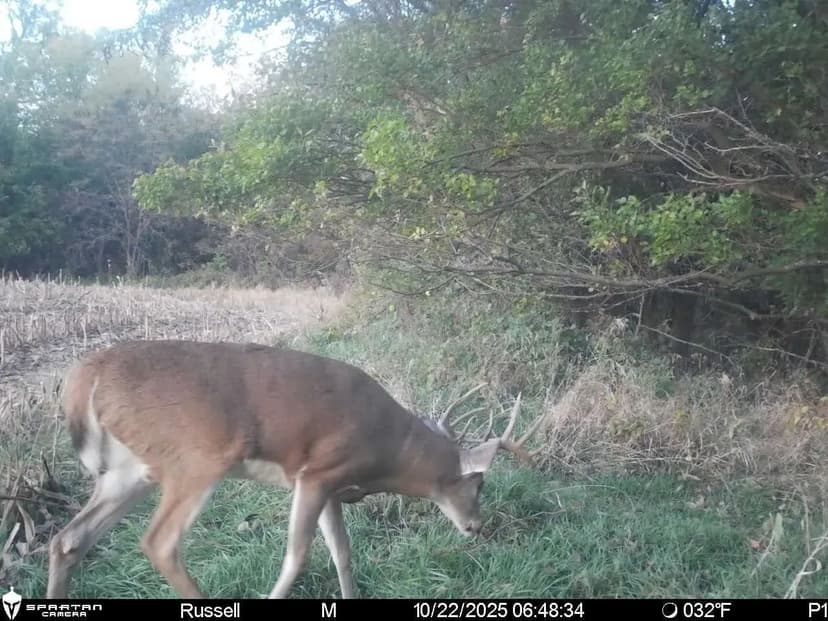 Affordable Recreational Property with Tillable Cropland