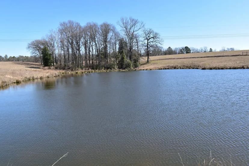 Esquire Devepolment 2