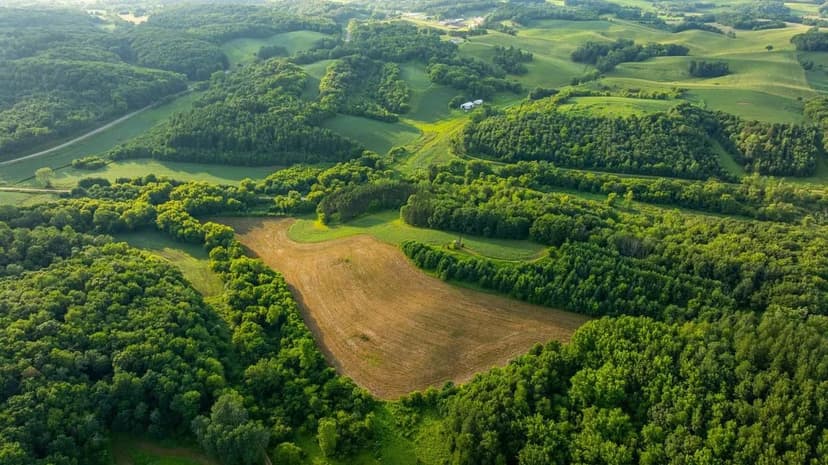Trophy Whitetail Haven on 47+- Acres in Famed Buffalo County