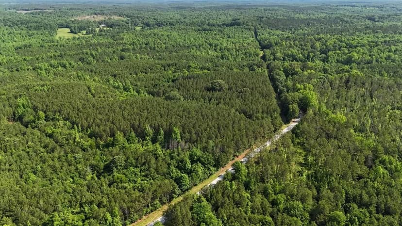 Itawamba County - Scott Senter Road 170 Acres