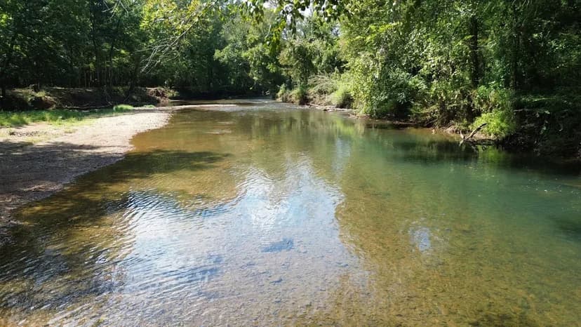 Cypress Creek Living