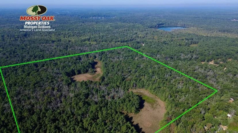 40 +/- acres / Newaygo County / Land For Sale
