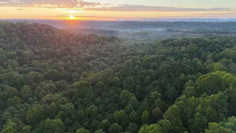 86 +/- acres Morgan County Homestead and Recreational Tract