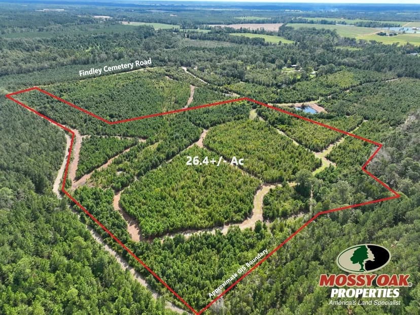 26.4 +/- Ac Land for Sale Findley Cemetery Rd Toombs County