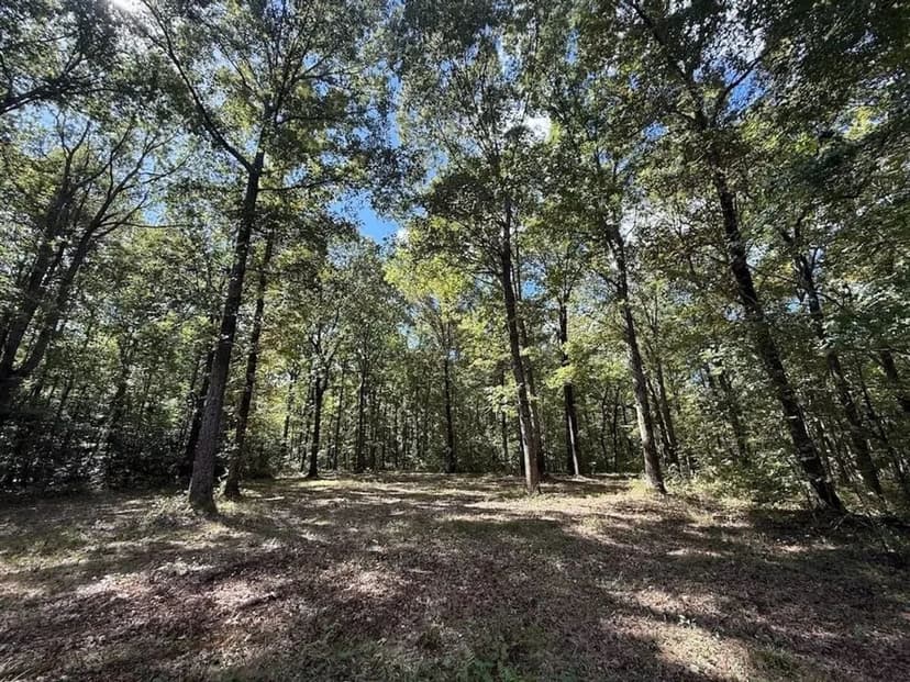90.32 acres of Farm and Timber Land For Sale in Northampton County NC!