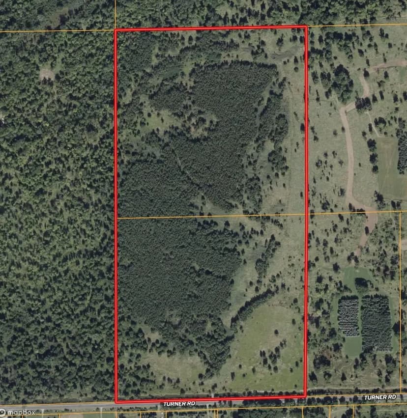 80 +/- ACRES / ARENAC  COUNTY / RECREATIONAL LAND FOR SALE /