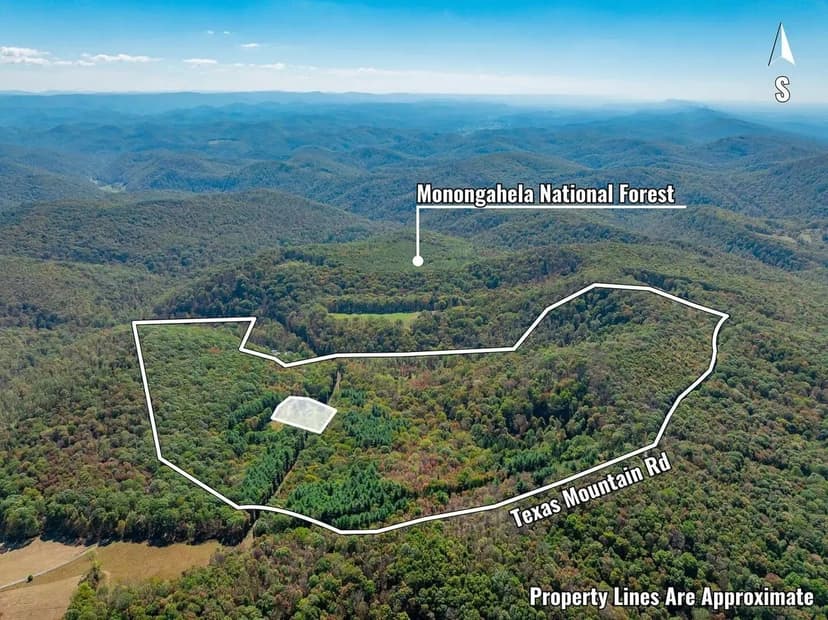 Texas Mountain Rd - 82 acres