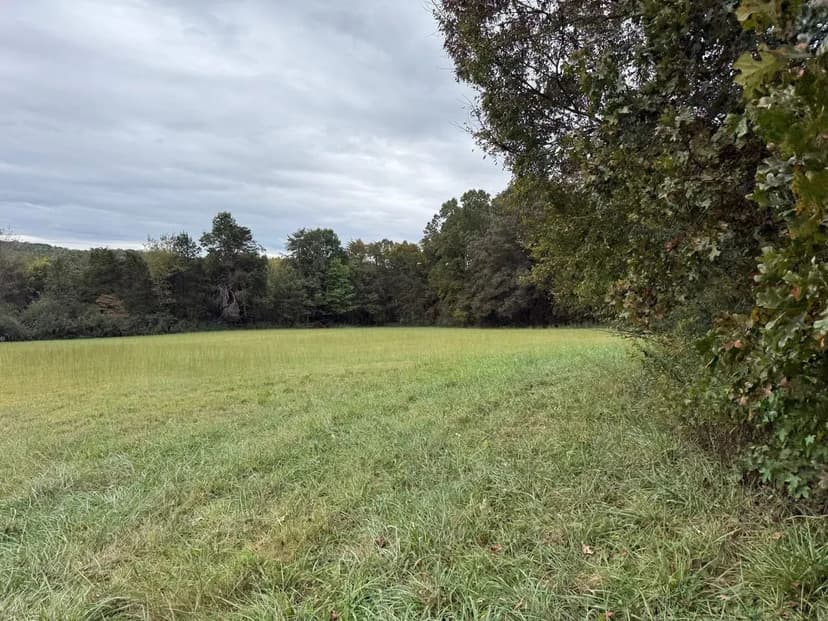 5.04+/-acres Unrestricted property with Pasture and Woods