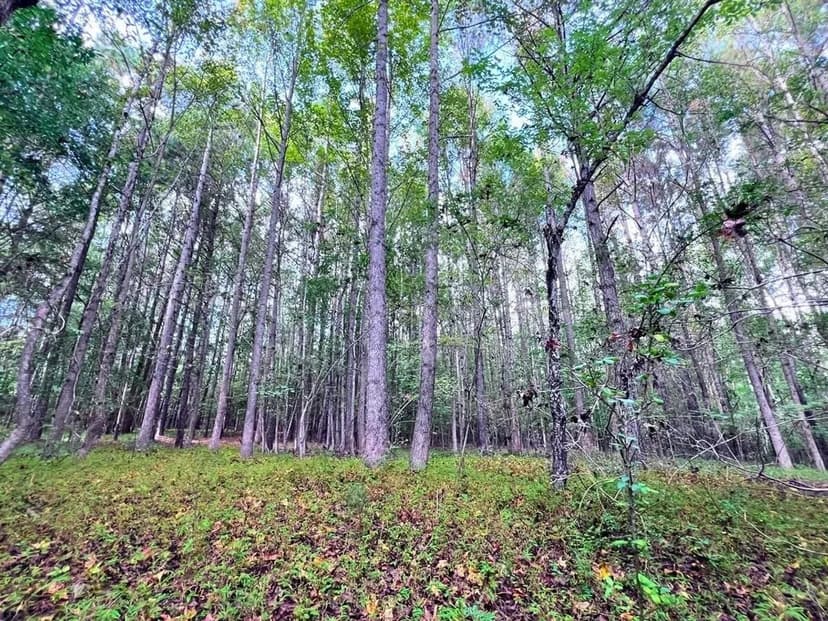 UNDER CONTRACT!! 12.23 Acres of Vacant Residential and Recreational Land For Sale in Nash County, NC!