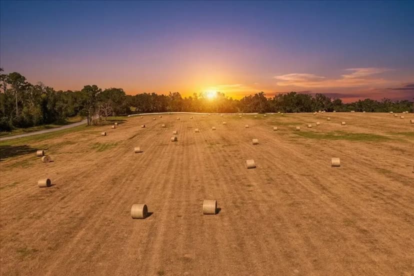 126.45 Acres of Rolling North Florida Beauty – Hay Fields, Timber & Ponds!