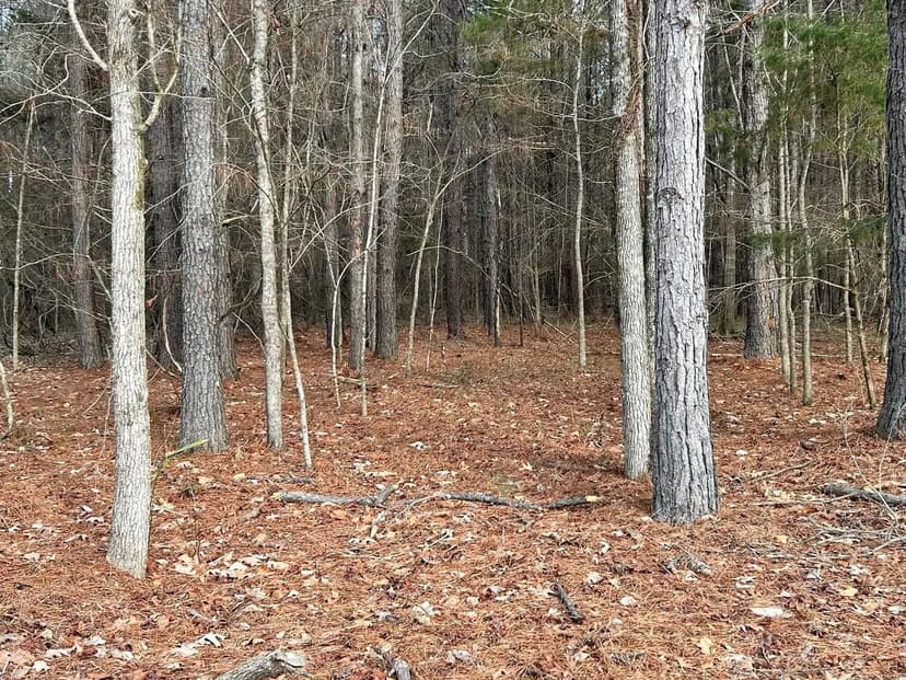 Gainesville Estates Lots For Sale