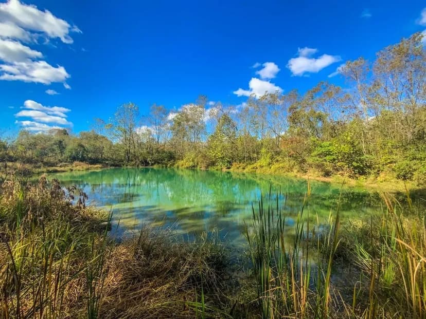 Dutch Ridge Rd Parcel 2 - 12 acres