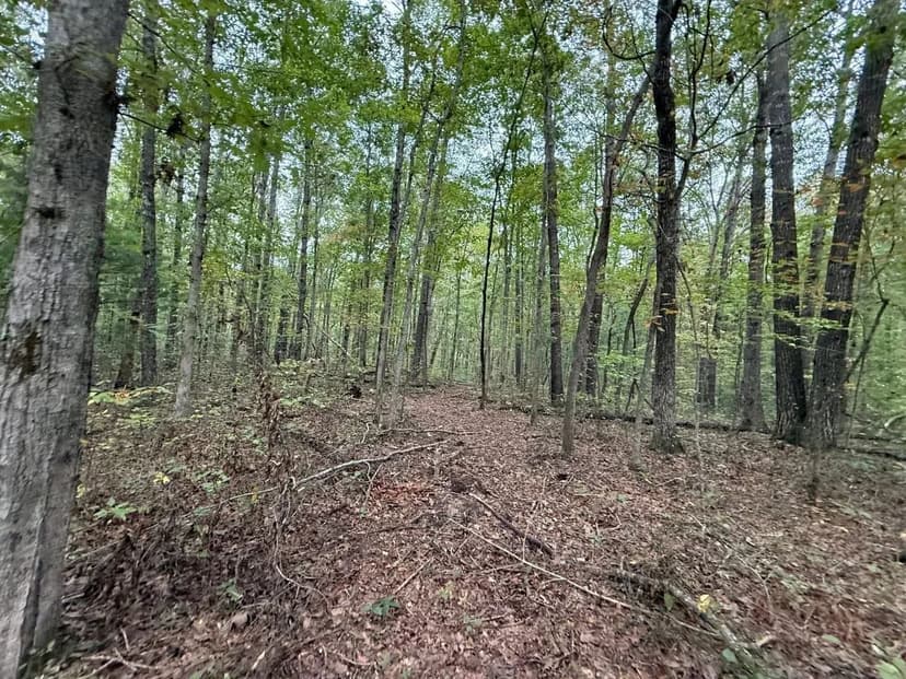5.20+/-acres unrestricted property with Hardwoods.