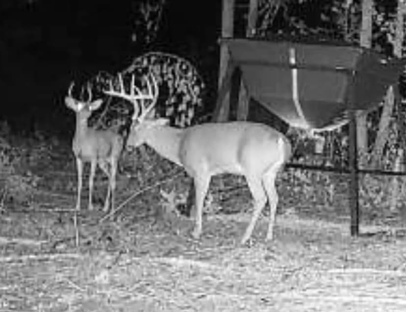 92 Acres Lonoke County Hunting