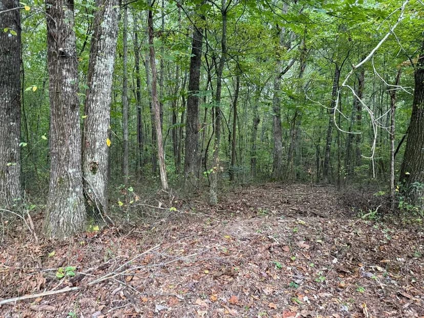 5.07+/-acres Unrestricted wooded property near Monteagle.
