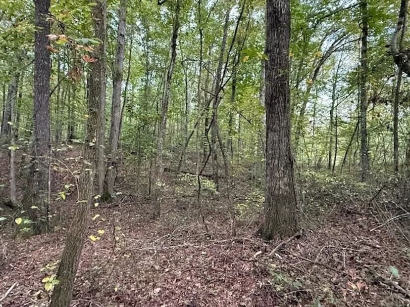 5.10+/-acres unrestricted property with Hardwoods.