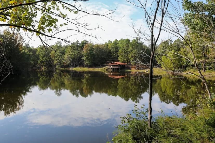 206-Acre Sanctuary on Crowley's Ridge in Clay County, Arkansas