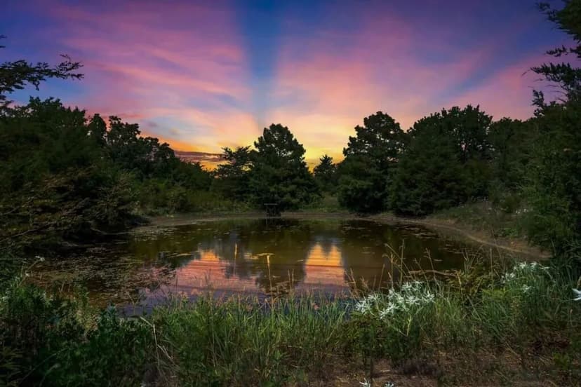 Celeste Combination Acres