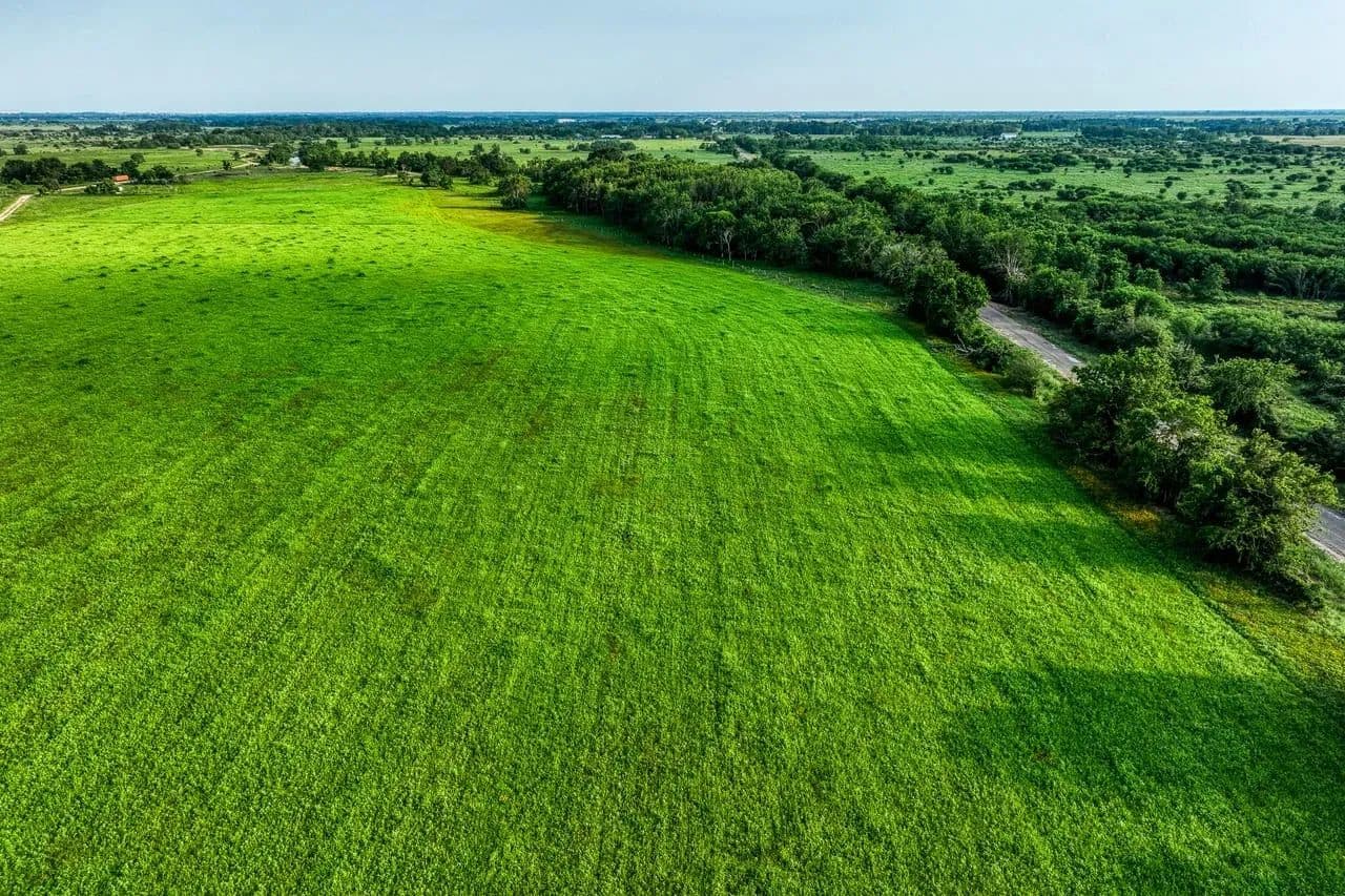 Schmidt Road Ranch in Waller, Texas - photo 2