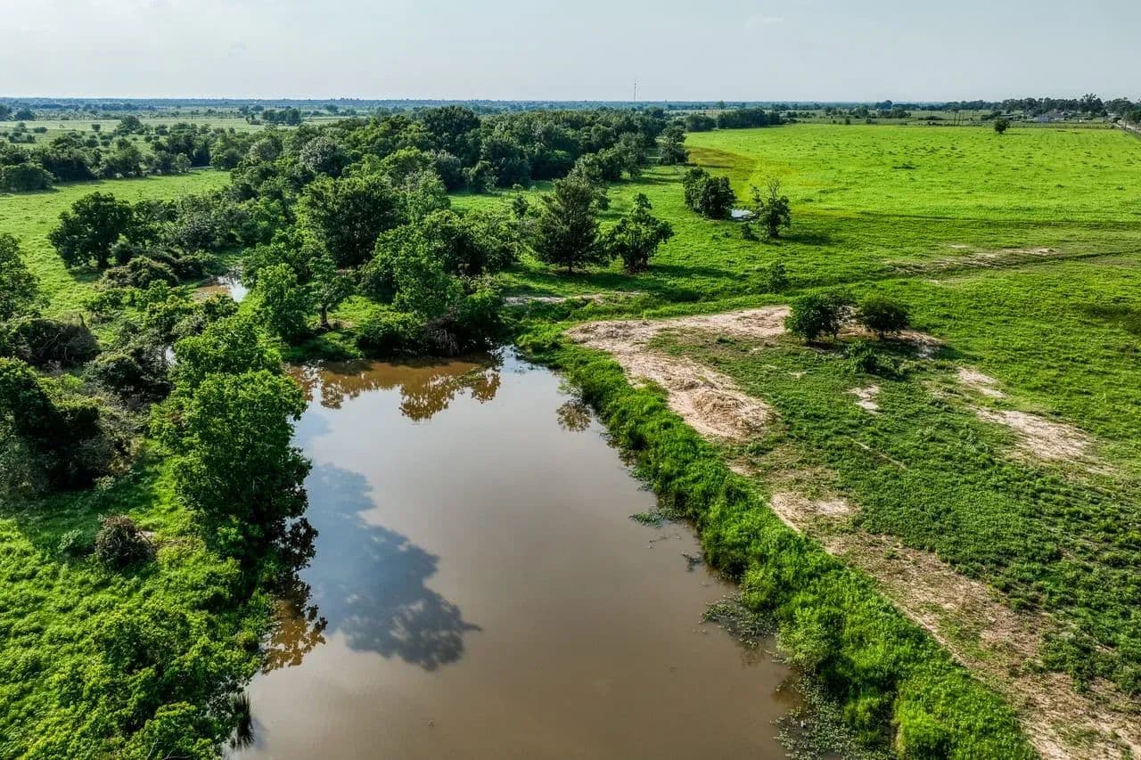 Schmidt Road Ranch in Waller, Texas - photo 9