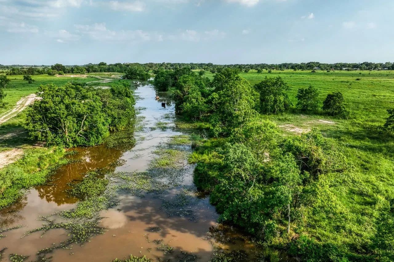 Schmidt Road Ranch in Waller, Texas - photo 8