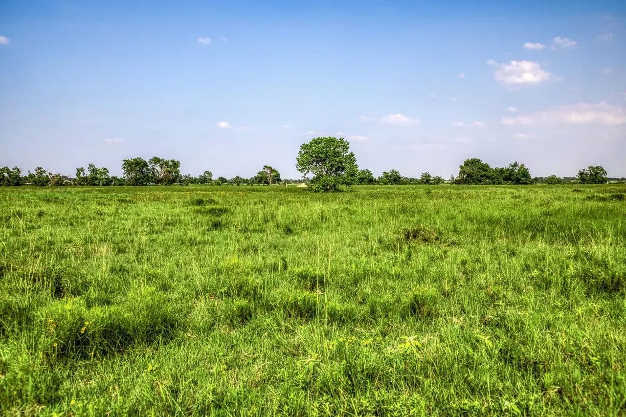 Schmidt Road Ranch in Waller, Texas - photo 16