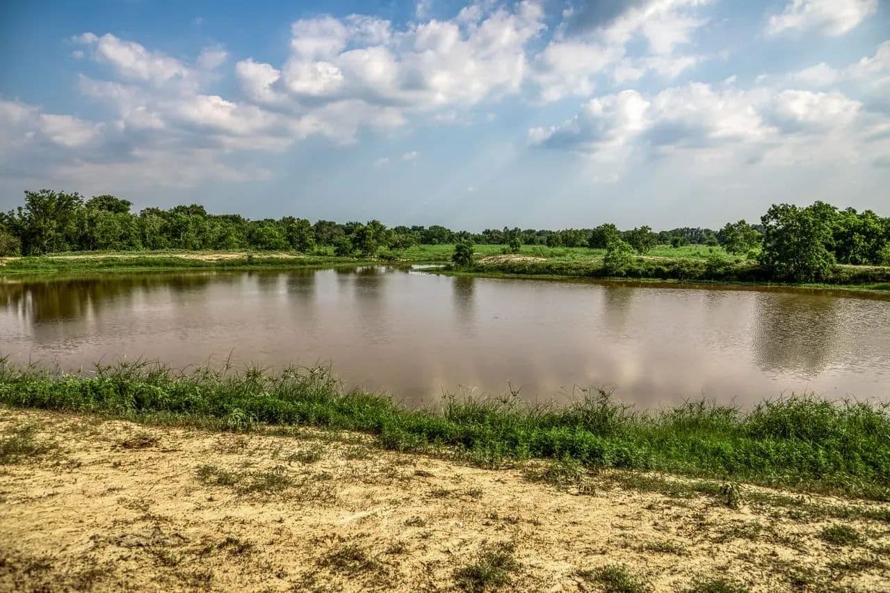 Schmidt Road Ranch in Waller, Texas - photo 7