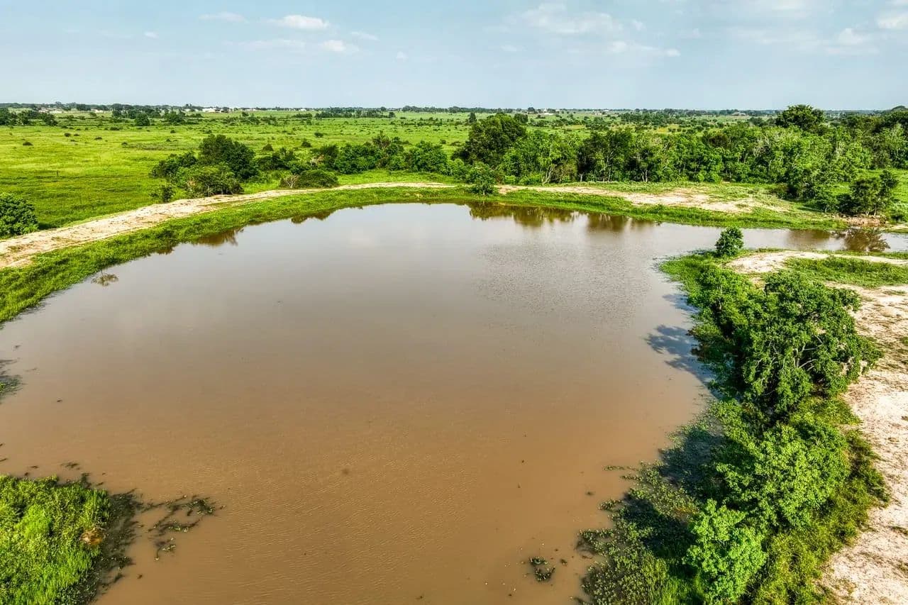 Schmidt Road Ranch in Waller, Texas - photo 5