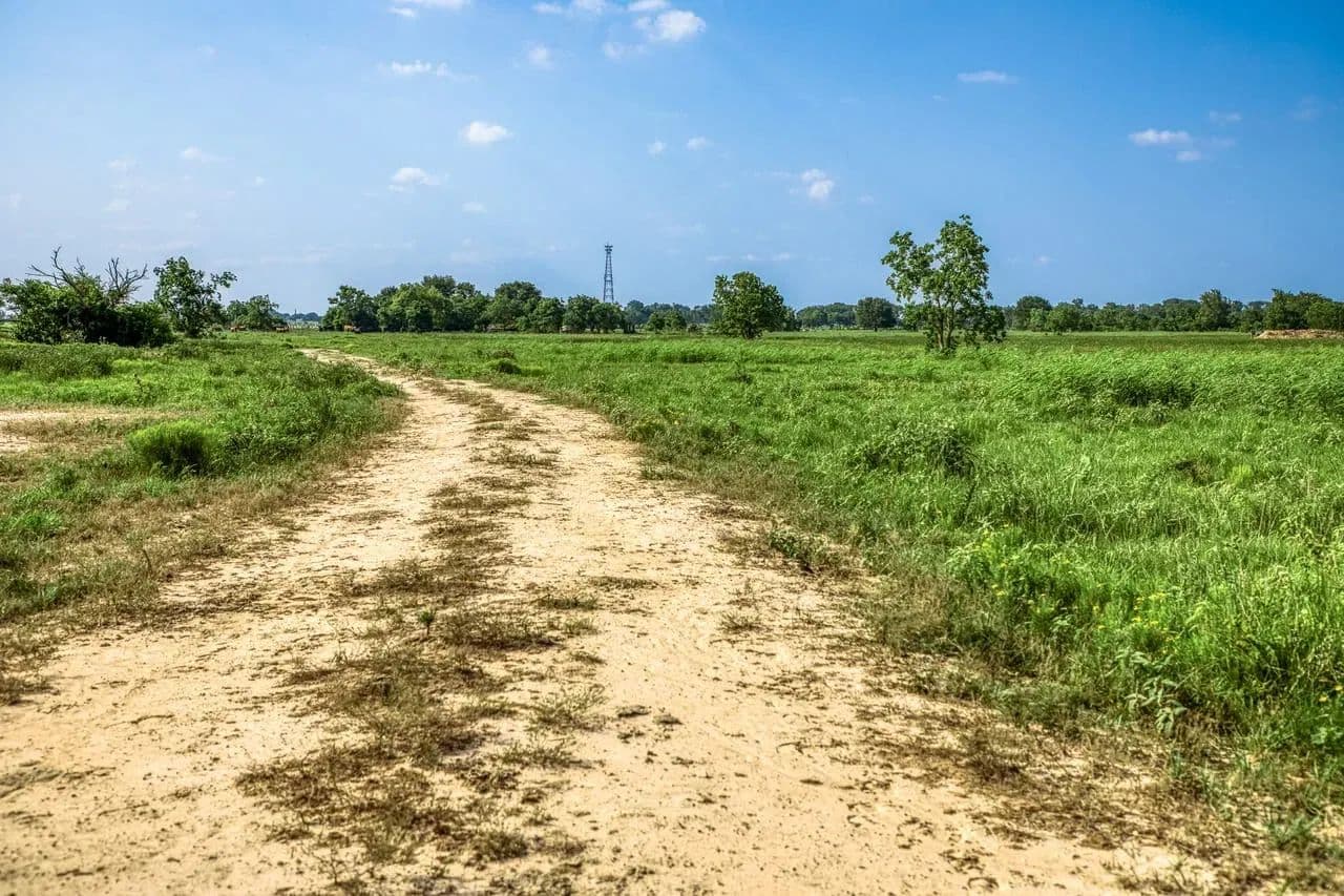 Schmidt Road Ranch in Waller, Texas - photo 18
